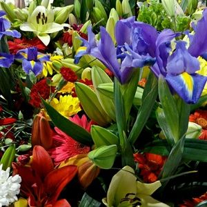 Meet your Posher, Autumn